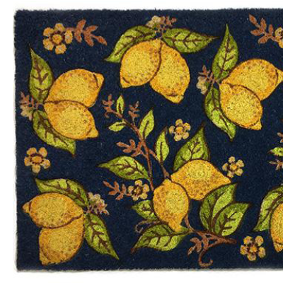 Now Designs Dorrmats & Rugs